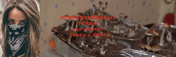 мет Алексин