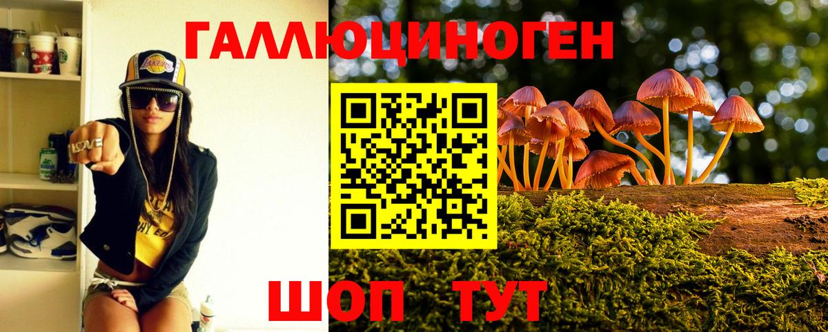 Галлюциногенные грибы Psilocybe Туймазы