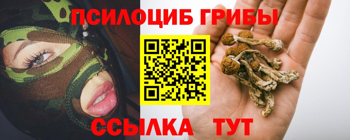 Туймазы  где можно купить наркотик  Вход с VPN  Псилоцибиновые грибы прущие грибы 